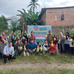 Rektor Universitas Adzkia Pimpin Panen Perdana Praktikum Mahasiswa Agribisnis